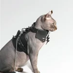First Layer Cowhide Rivet Leash for Sphynx