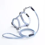 Gradient Color Leash Set for Cats - Blue