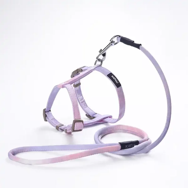 Gradient Color Leash Set for Cats - Purple