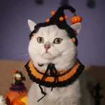 Halloween Funny Collar Crochet Hat