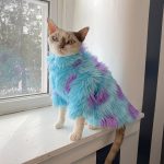 Purple Blue Fur Coat for Hairless Cat photo review