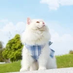 JK Plaid Dress Harness Leash for Cats