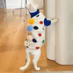 Lamb Velvet Polka Dot Coat for Cats