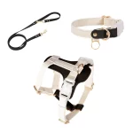 Leather Leash Collar Harness for Cats - Black