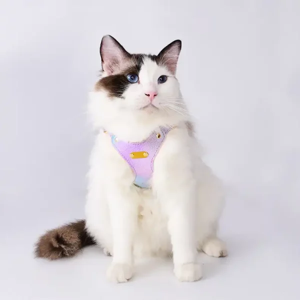 Leather Waterproof Colorful Cat Harness