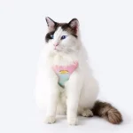 Leather Waterproof Colorful Cat Harness
