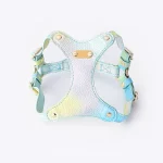 Leather Waterproof Colorful Cat Harness - Blue Harness