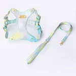 Leather Waterproof Colorful Cat Harness - Blue Set