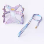 Leather Waterproof Colorful Cat Harness - Purple Set