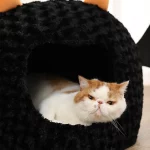 Little Devil Cat Bed, Halloween Style Cat Bed