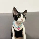Love Pendant Necklace Cat Pet Accessories - Blue