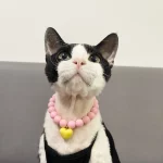 Love Pendant Necklace Cat Pet Accessories - Pink