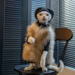 Maillard Style Fur Vest Coat for Cats