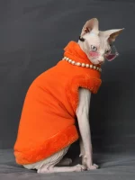 Orange Winter Thick Coats for Sphynx Cats