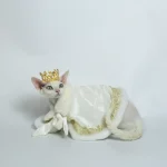 Palace Style Cloak for Cat - White