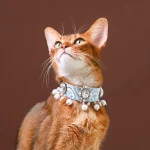 Pearl Tassel Cat Necklace Collar