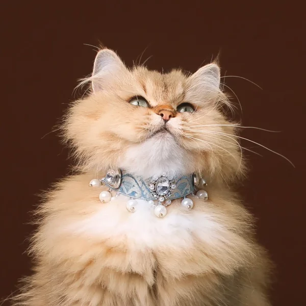 Pearl Tassel Cat Necklace Collar