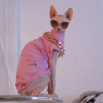 Pink NIKE Air One-arm Clothes for Sphynx