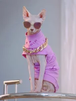 Pink NIKE Air One-arm Clothes for Sphynx