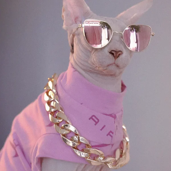 Pink NIKE Air One-arm Clothes for Sphynx