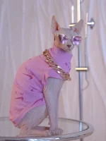 Pink NIKE Air One-arm Clothes for Sphynx