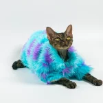 Purple Blue Fur Coat for Hairless Cat