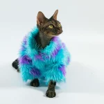 Purple Blue Fur Coat for Hairless Cat