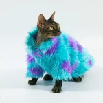 Purple Blue Fur Coat for Hairless Cat