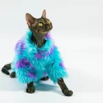 Purple Blue Fur Coat for Hairless Cat