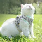 Reflective Breathable Cat Harness Leash
