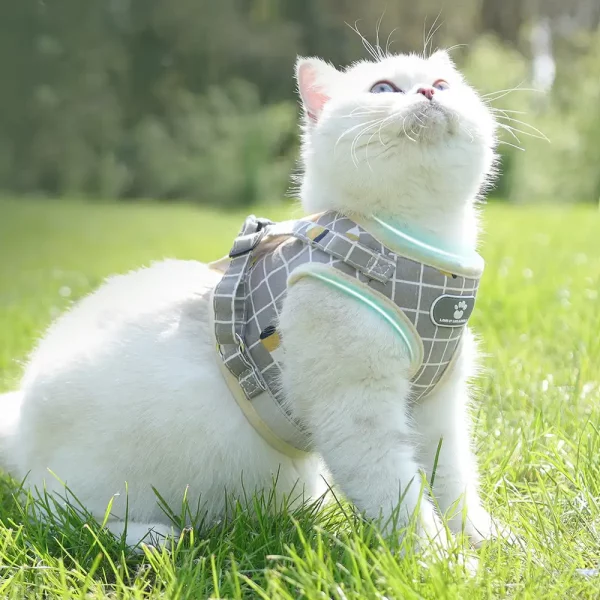 Reflective Breathable Cat Harness Leash