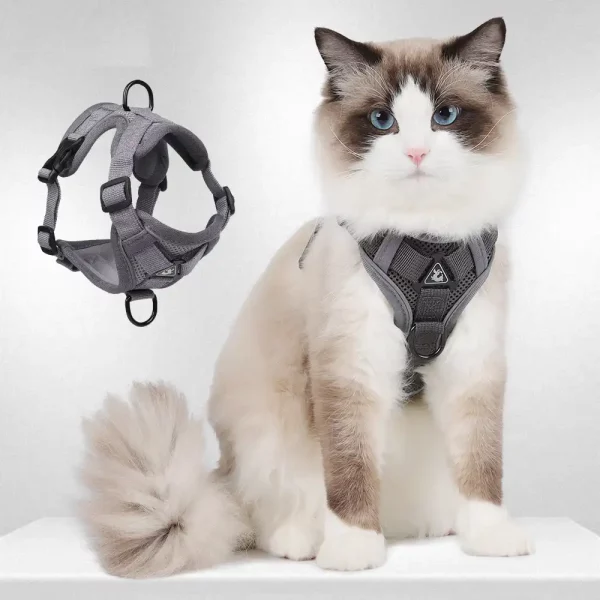 Reflective Breathable Cat Leash with Vest-style Harness