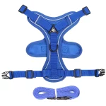 Reflective Breathable Cat Leash with Vest-style Harness - Blue