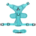 Reflective Breathable Cat Leash with Vest-style Harness - Lake Blue