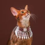 Retro Pet Cloud Collar for Cats Wedding Accessories