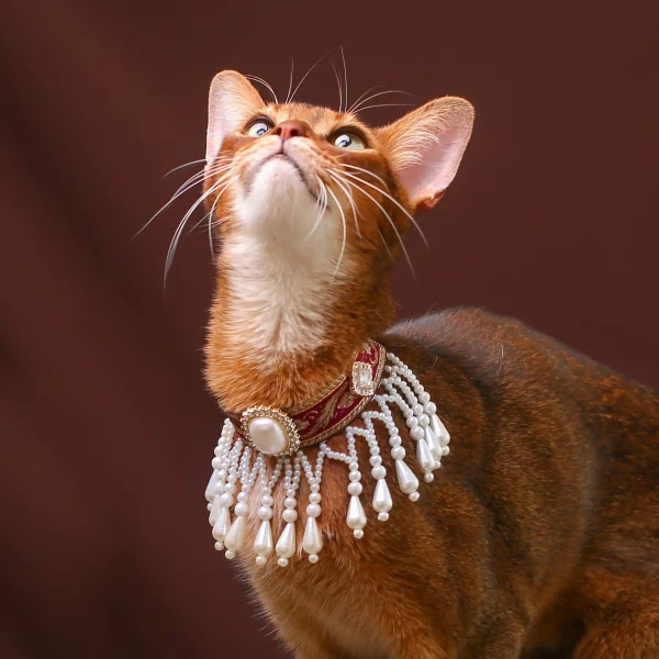 Retro Pet Cloud Collar for Cats Wedding Accessories