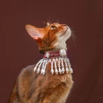 Retro Pet Cloud Collar for Cats Wedding Accessories