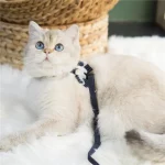 Soft Elephant Cotton Cat Leash Harness Set