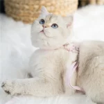 Soft Elephant Cotton Cat Leash Harness Set