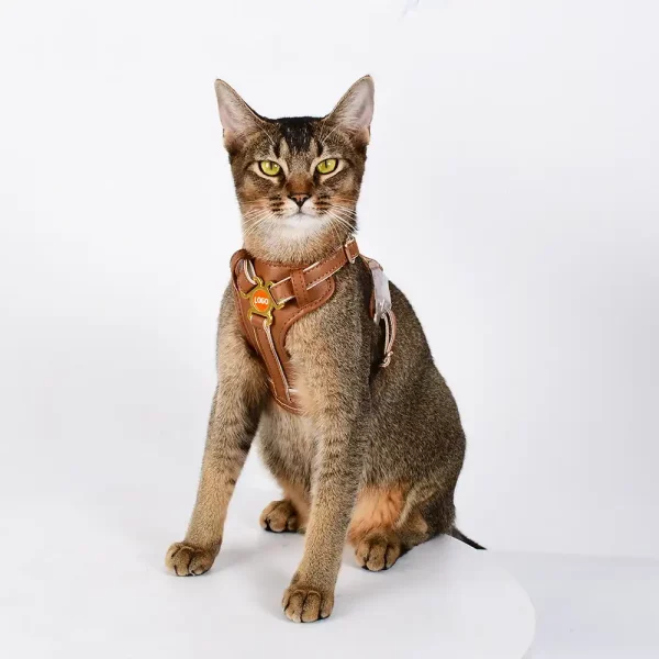Soft PU Leather Cat Leash Harness Set