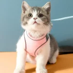 Vest Style Harness Leash Set for Cats