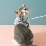 Vest Style Harness Leash Set for Cats