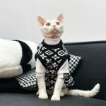 Winter Vest LV Icon for Cats