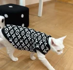 Winter Vest LV Icon for Cats