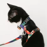 pidan Cat Leash Set H-shaped Harness