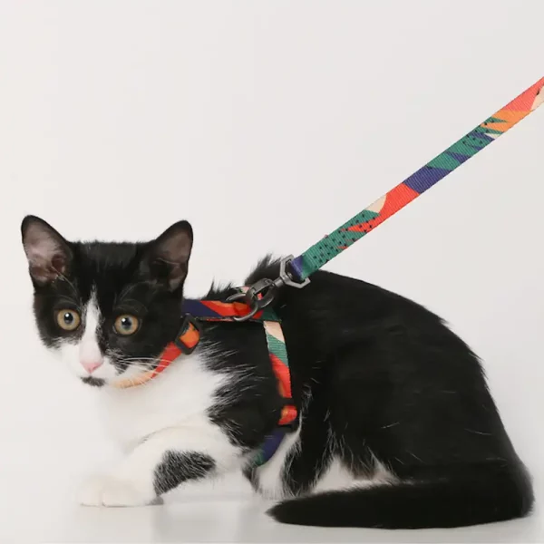 pidan Cat Leash Set H-shaped Harness