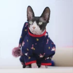 Belly Onesie with Santa Hat for Sphynx