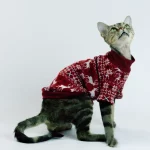 British Style Knitted Christmas Pullover Sweater for Cats