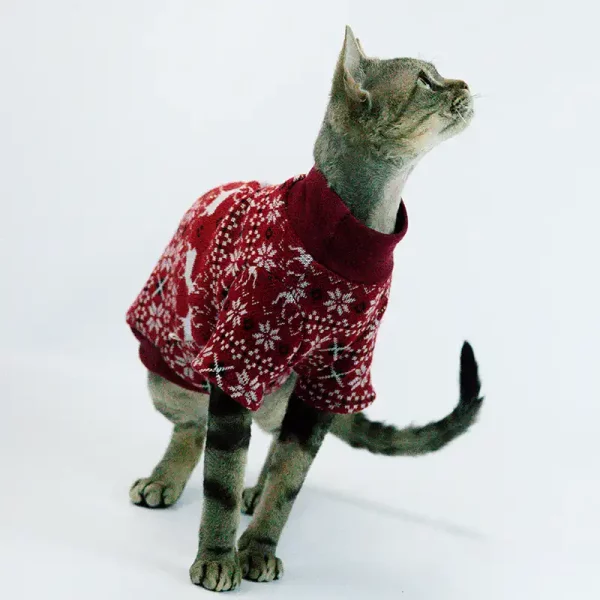 British Style Knitted Christmas Pullover Sweater for Cats