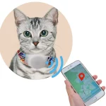 Cat Airtag Cat Tracking Collar Color Rope Silicone